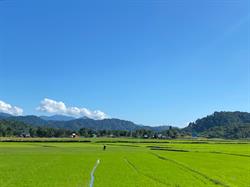 From Hàm Thuận Nam to Tánh Linh