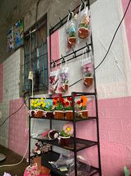 Inside Rural Life in Đức Linh