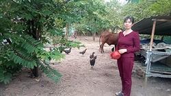 ĐỒNG HÀNH CÙNG GIA ĐÌNH CHỊ HẠNH TRÊN HÀNH TRÌNH VƯỢT KHÓ