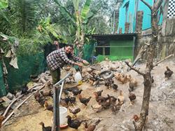 MÔ HÌNH NÔNG NGHIỆP KHÉP KÍN – HƯỚNG ĐI BỀN VỮNG CHO HỘ KHÓ KHĂN