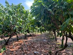 From Farm Visits to New Challenges