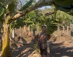 Field Visits and Daily Work