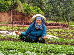 Nỗ lực vượt khó của gia đình chị Xuân nơi vùng quê Trà Tân