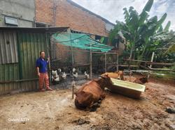 Cùng nhau tạo nên những vòng tròn của sự phát triển